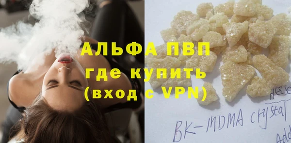 прущие грибы Россошь