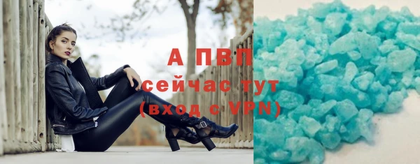 прущие грибы Россошь