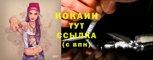 spice Рославль