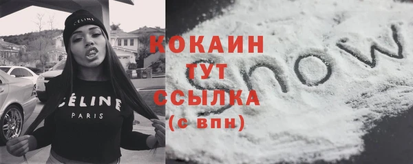 spice Рославль