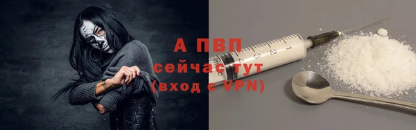 spice Рославль