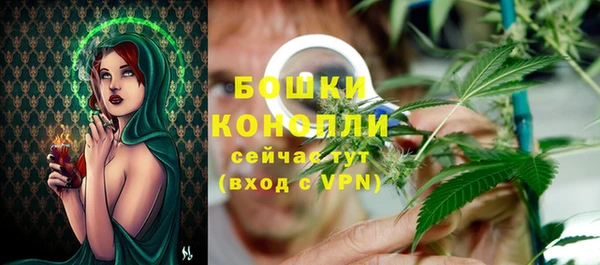 прущие грибы Россошь