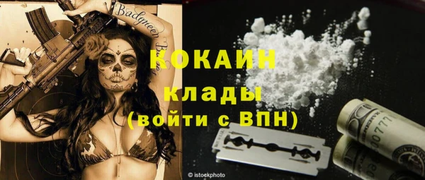 прущие грибы Россошь