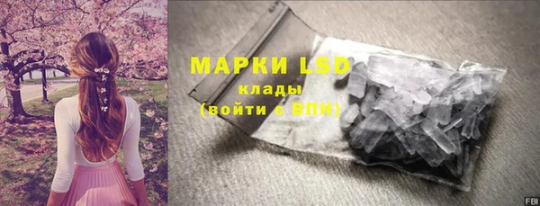 spice Рославль
