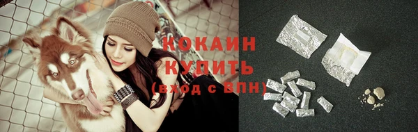 прущие грибы Россошь